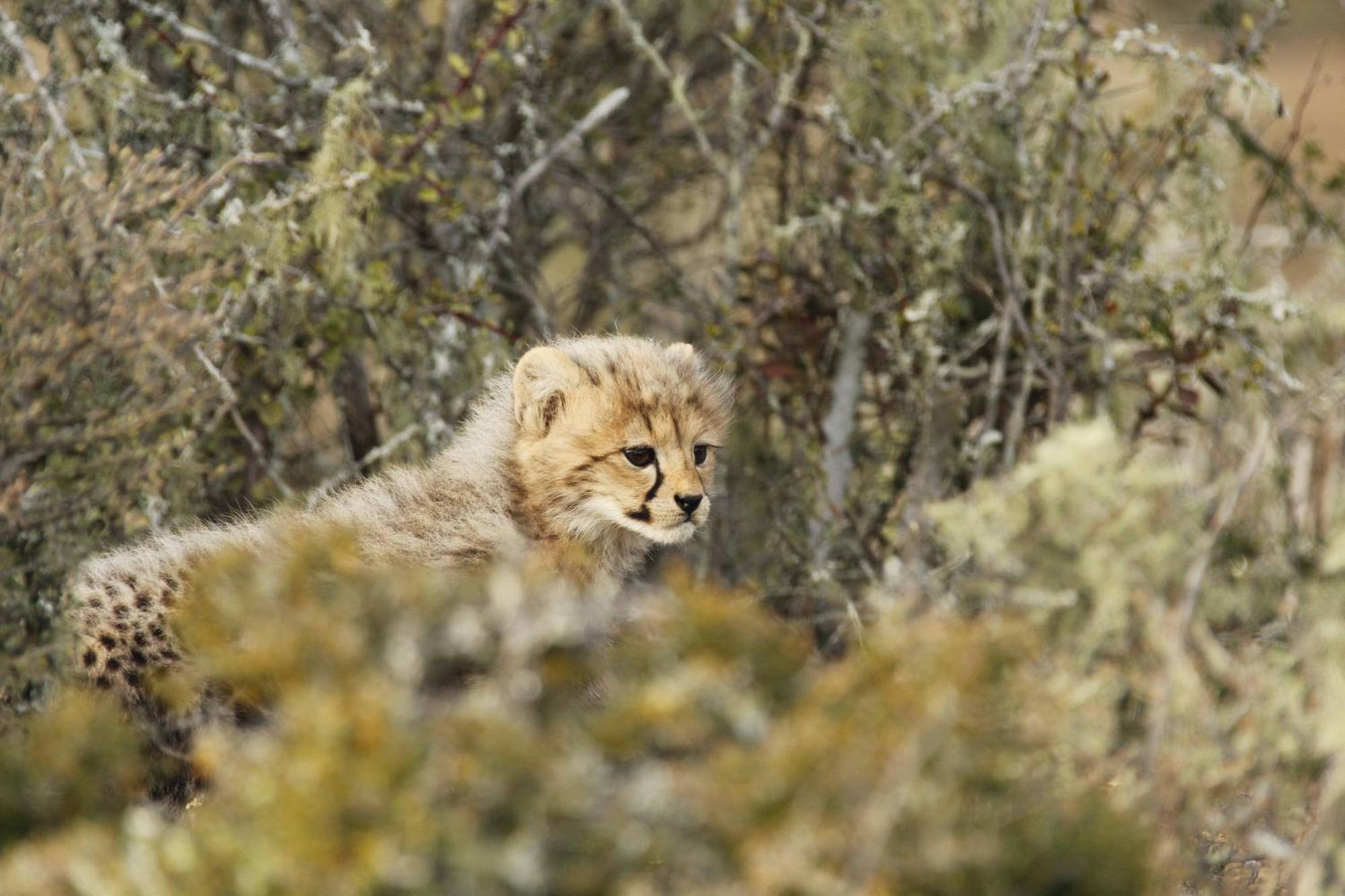 Kwandwe Private Game Reserve - Great Fish River Lodge Grahamstown Extérieur photo
