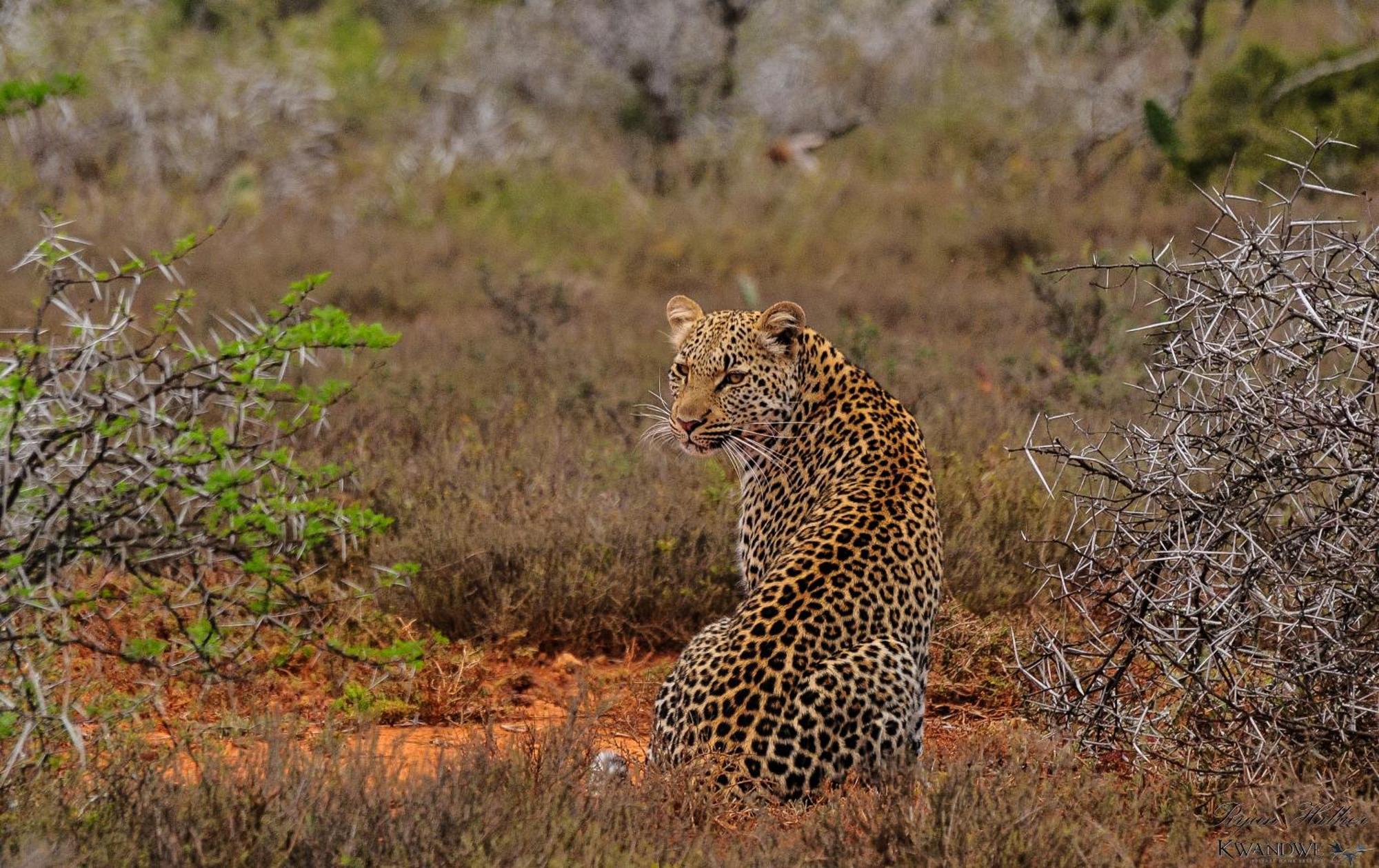 Kwandwe Private Game Reserve - Great Fish River Lodge Grahamstown Extérieur photo