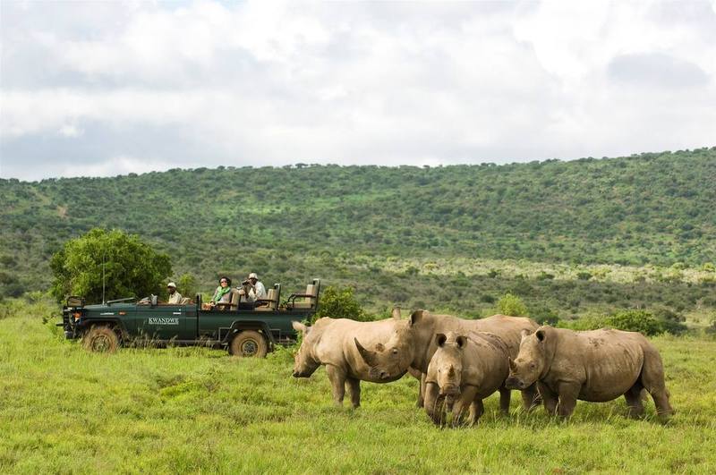 Kwandwe Private Game Reserve - Great Fish River Lodge Grahamstown Extérieur photo