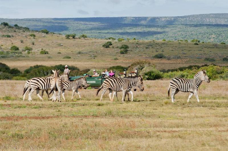 Kwandwe Private Game Reserve - Great Fish River Lodge Grahamstown Extérieur photo