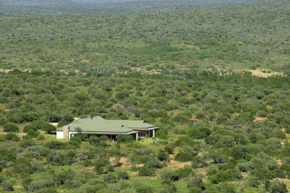 Kwandwe Private Game Reserve - Great Fish River Lodge Grahamstown Extérieur photo