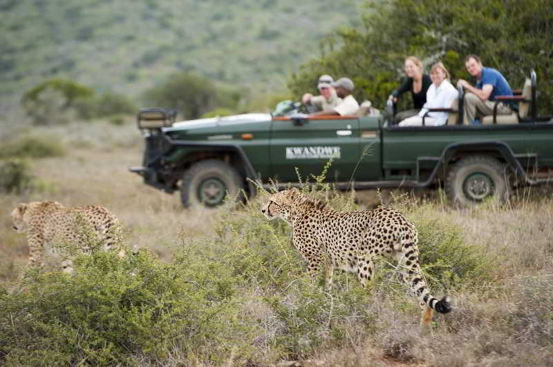 Kwandwe Private Game Reserve - Great Fish River Lodge Grahamstown Extérieur photo