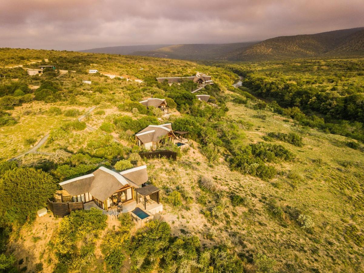 Kwandwe Private Game Reserve - Great Fish River Lodge Grahamstown Extérieur photo